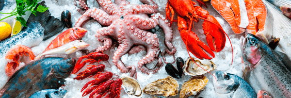 Насоси для риби і морепродуктів